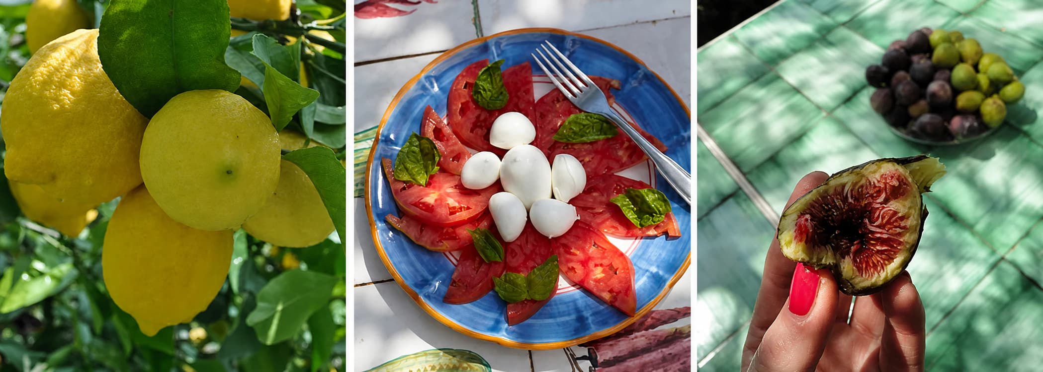 Lemons, caprese and figs at La Fenice